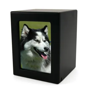 Black MDF Pet Photo Medium Cremation Urn