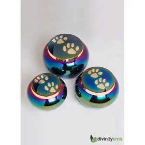 Buddy Rainbow Pet Cremation Urn - Large