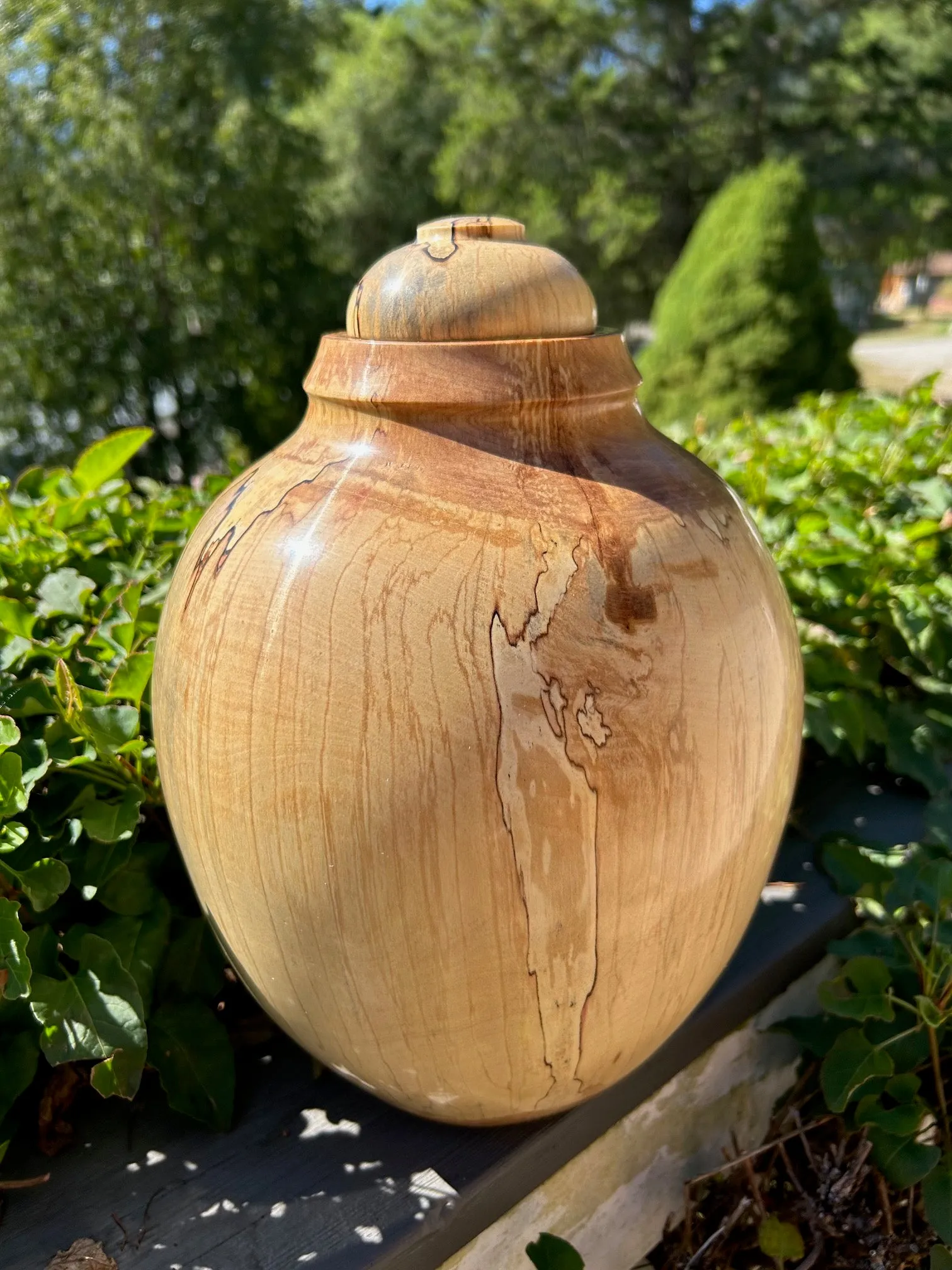 Extra Large Spalted Birch Wood Turned Urn 9