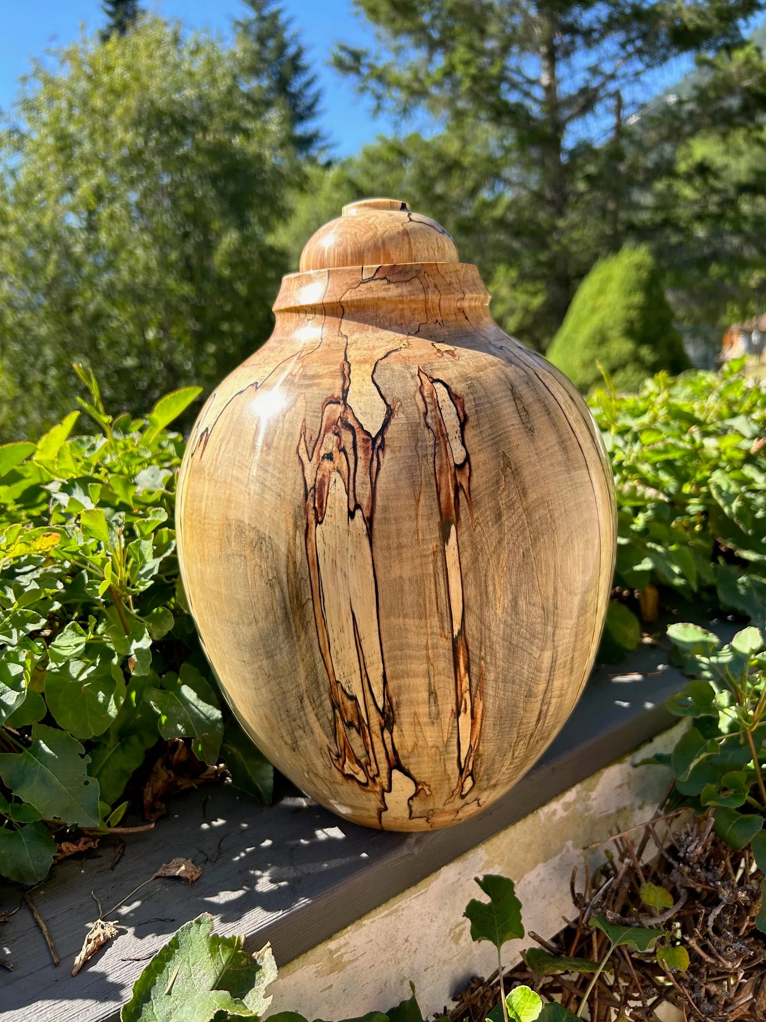 Extra Large Spalted Birch Wood Turned Urn 9