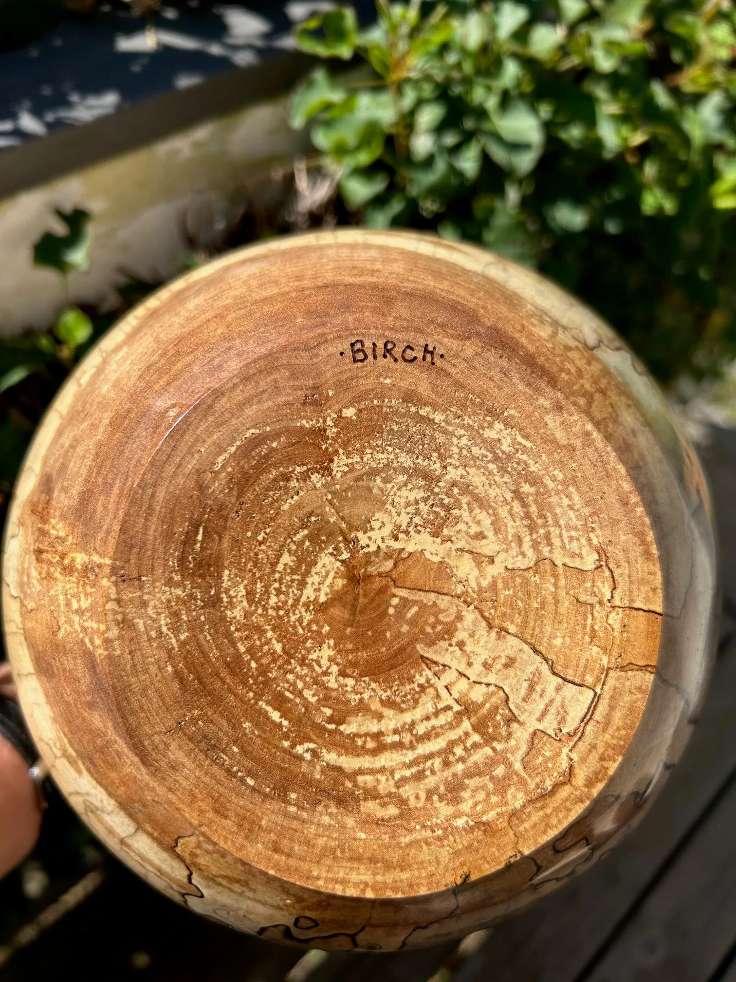 Extra Large Spalted Birch Wood Turned Urn 9