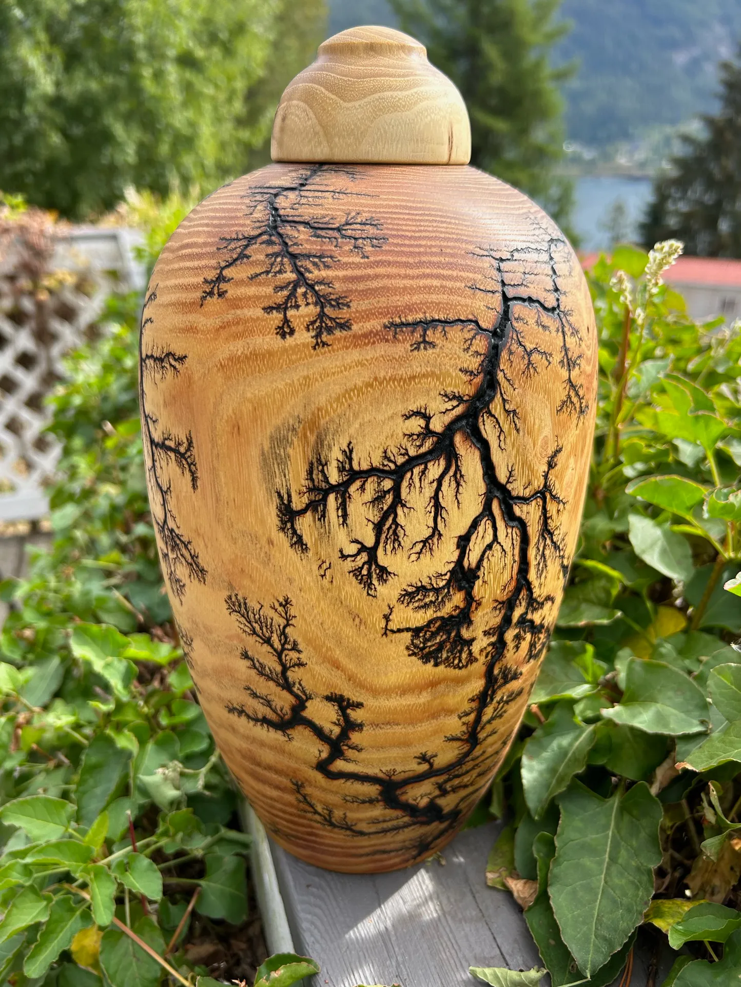 Fractal Black Locust Turned Urn 12