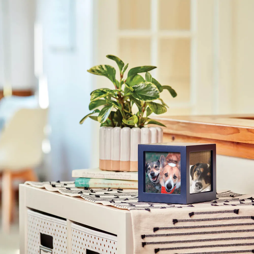 Navy Pet Photo Cube Urn In Extra Small