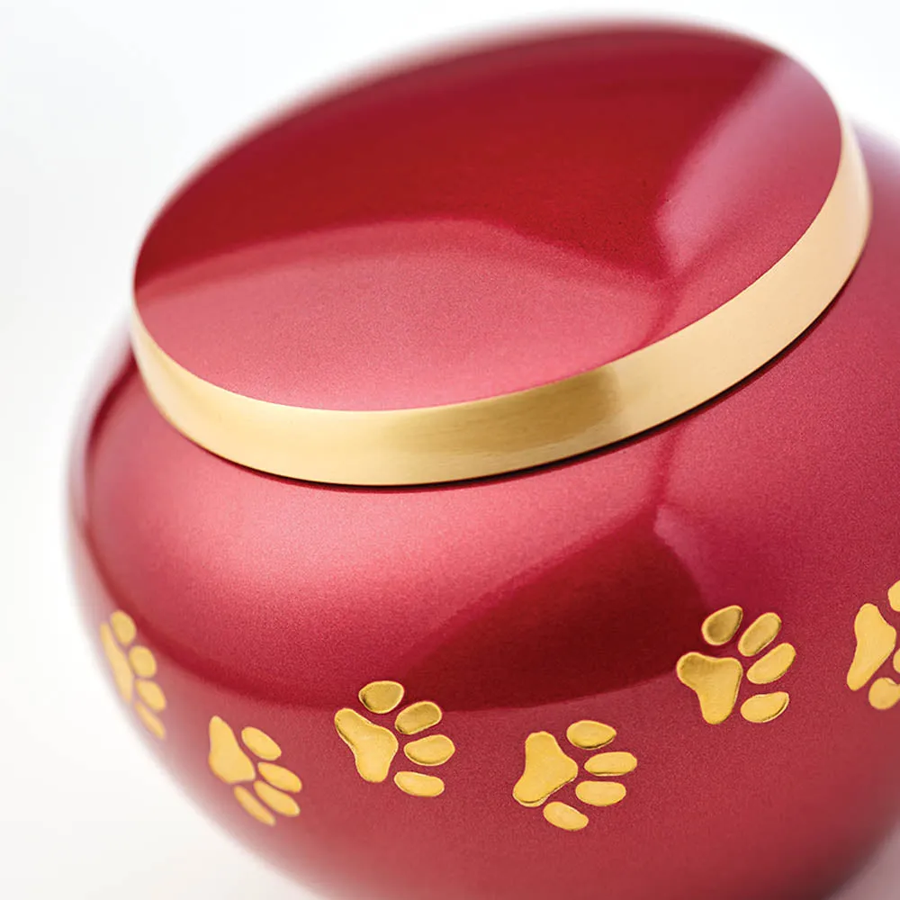 Odyssey Crimson Pet Urn in Extra Small