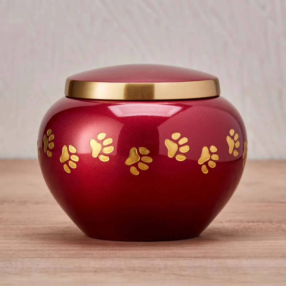 Odyssey Crimson Pet Urn in Extra Small