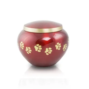 Odyssey Crimson Pet Urn in Extra Small