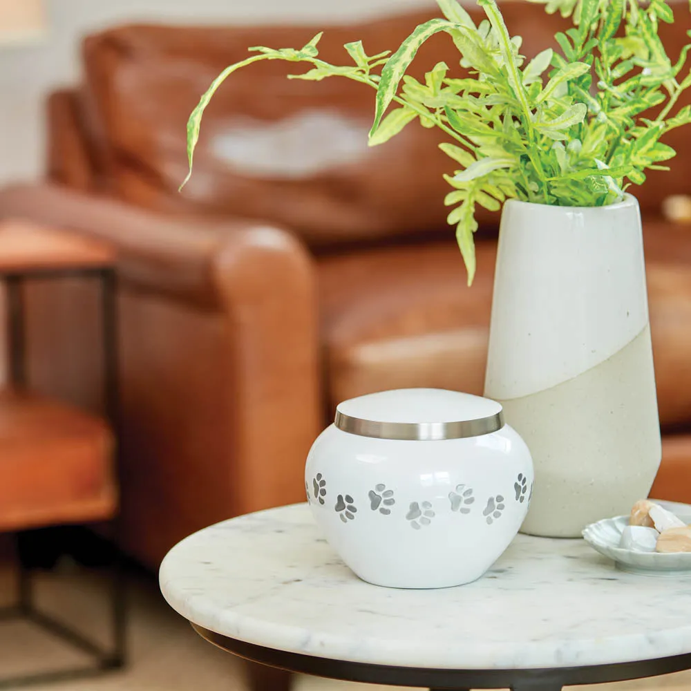 Odyssey Pearl Pet Urn In Small