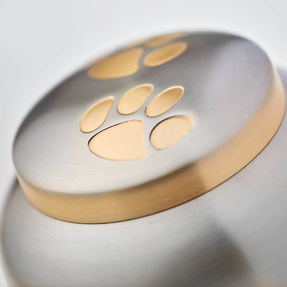 Odyssey Pewter Pet Urn in Extra Small