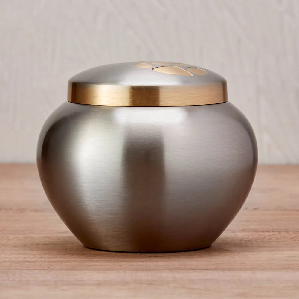 Odyssey Pewter Pet Urn in Extra Small