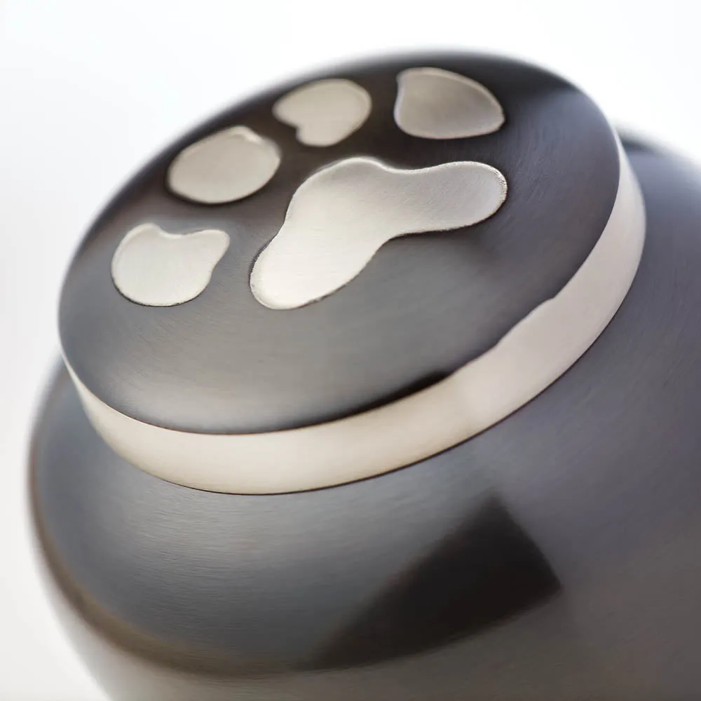 Odyssey Slate Pet Urn in Extra Small