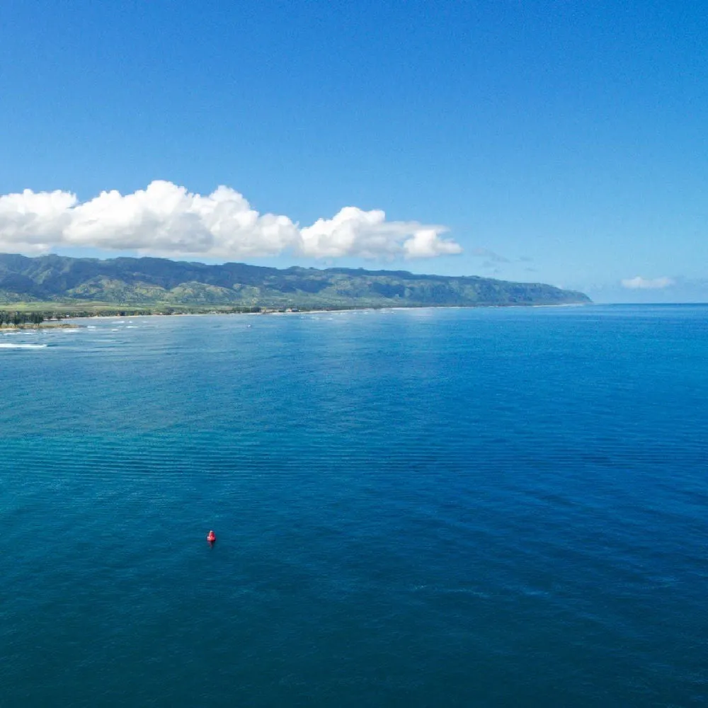 Off the Coast of Haleiwa Harbor