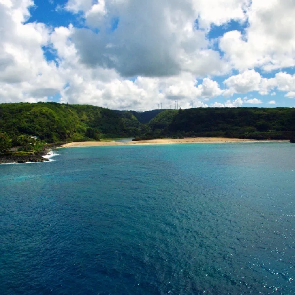 Off the Coast of Waimea Bay