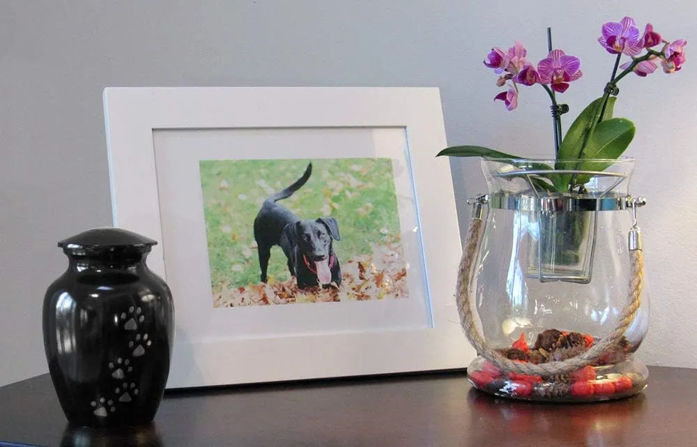 Pet Cremation Urn for Dogs & Cats Ashes, Black