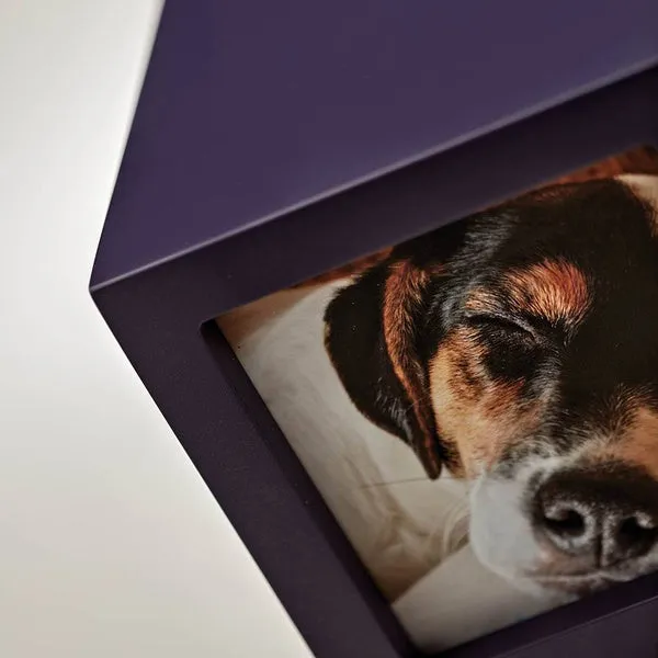 Photo Cube Urn for Pet Ashes - Violet