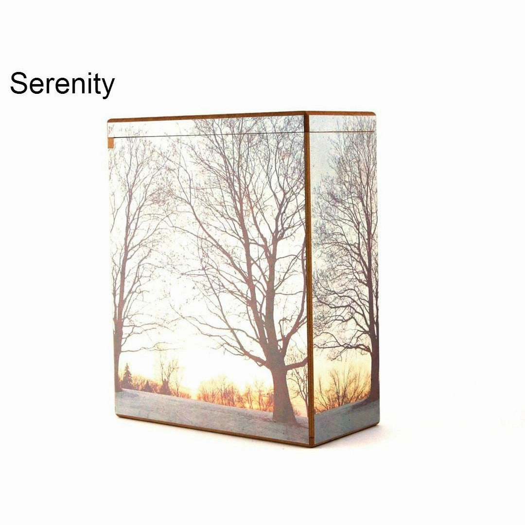 Scattering Urn