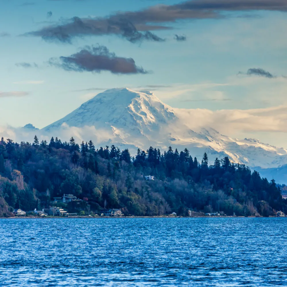 Seattle Ash Scattering