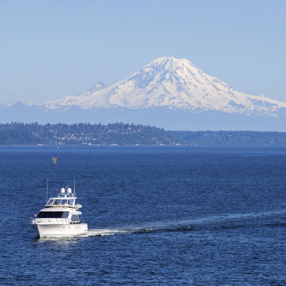 Seattle Ash Scattering