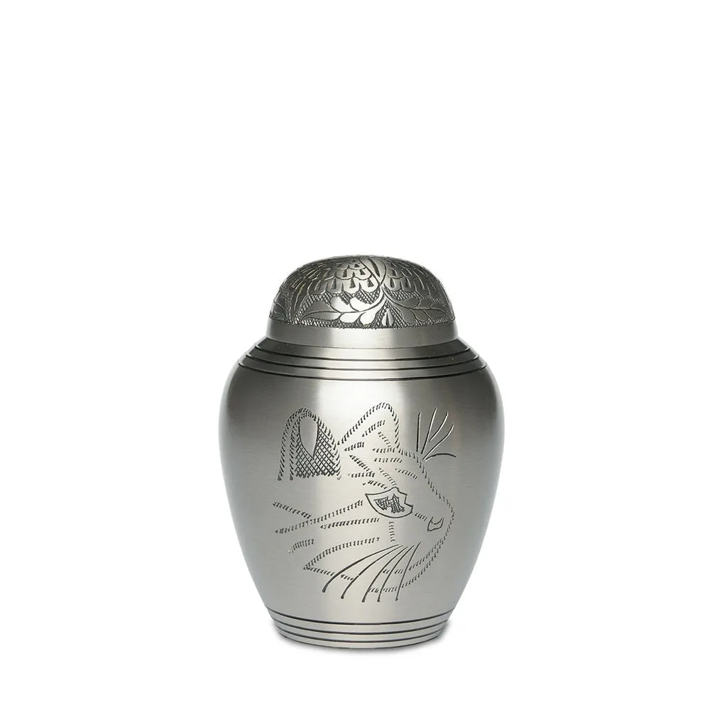 SMALL Brass Urn -1576- Engraved KITTY face