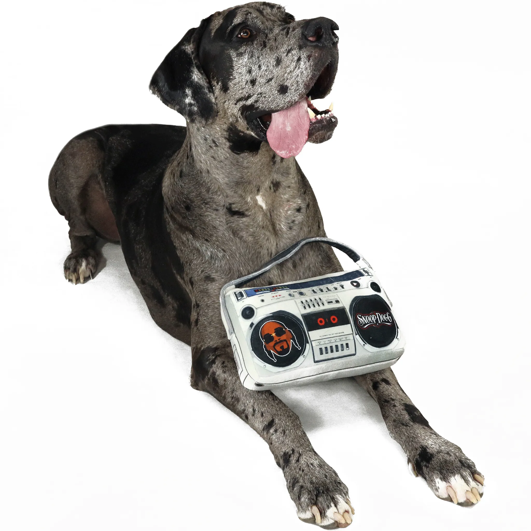 Snoop Doggie Dogg Boom Box Toy Grey Dog Toys