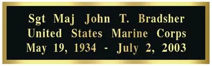 Solid Wood Vice Presidential Military Flag Case Made in the USA