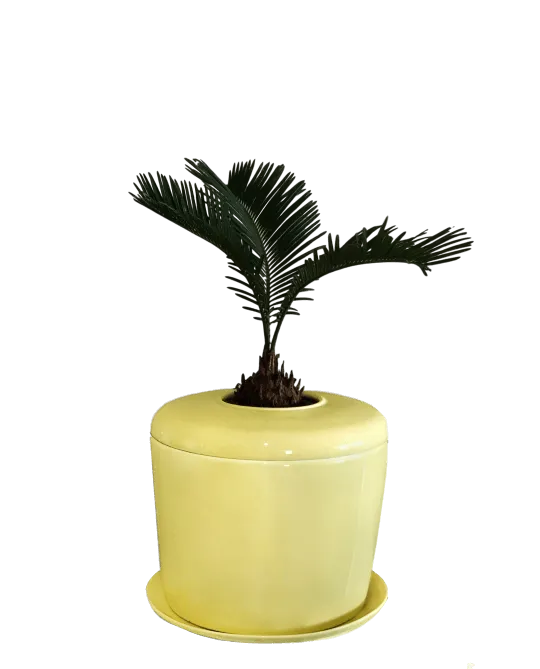 The Living Urn Indoors / Patio for Pets