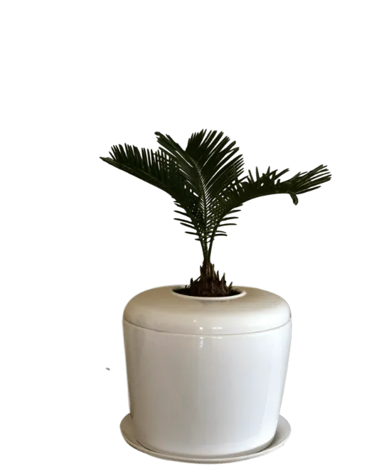 The Living Urn Indoors / Patio for Pets