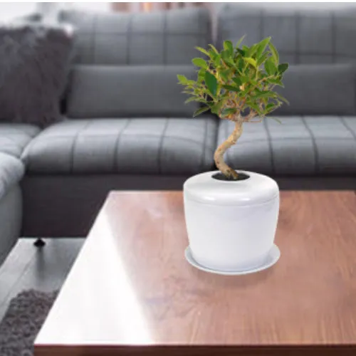 The Living Urn Indoors / Patio for Pets