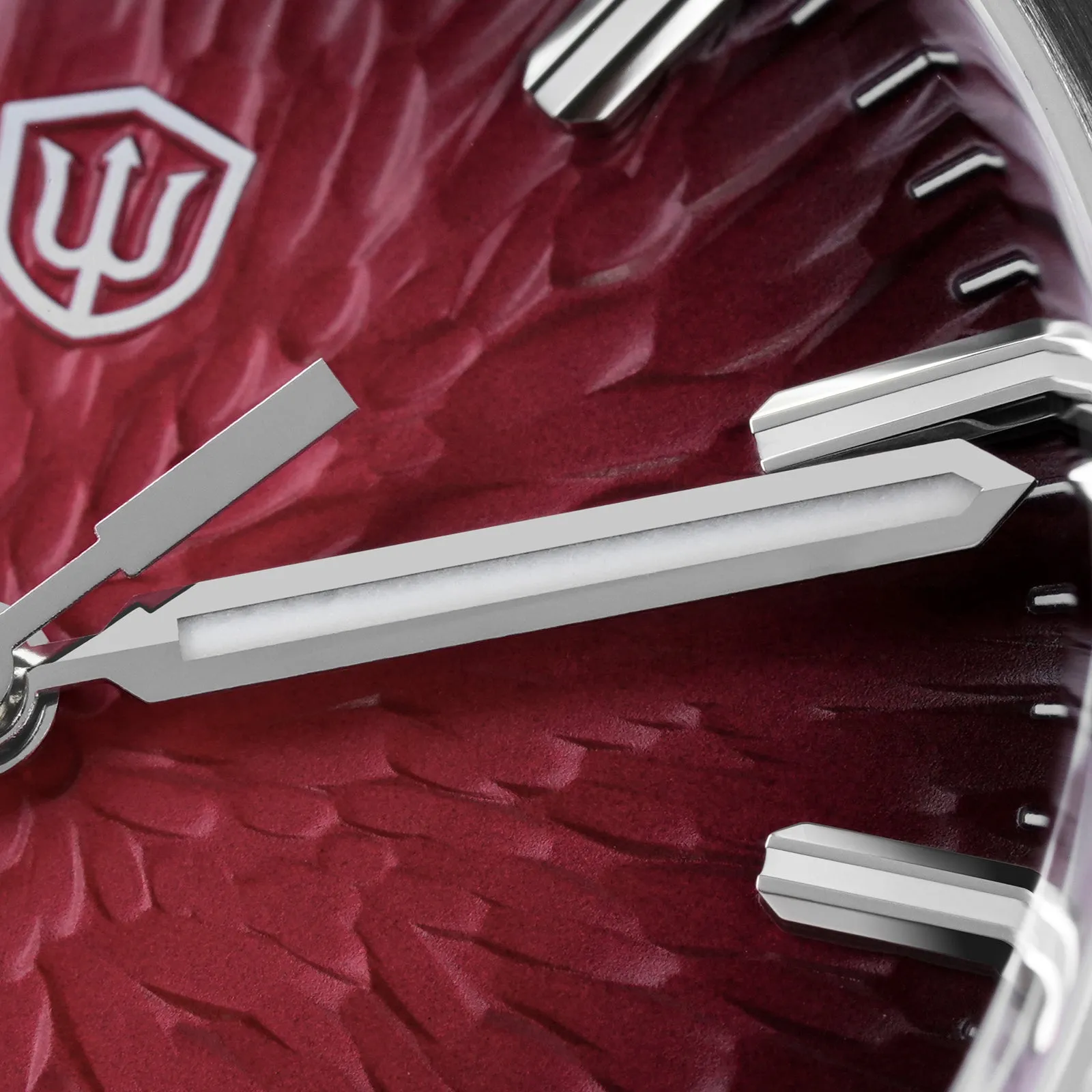 ★WeeklyDeals★Watchdives WD0005 39mm NH35 Automatic Watch